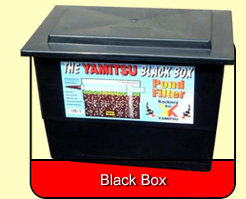 Yamitsu Black Box