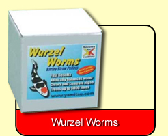 Wurzel Worms